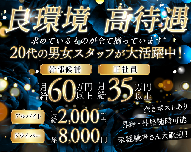 【朝・夜】アシュリー 歌舞伎町キャバクラ バナー