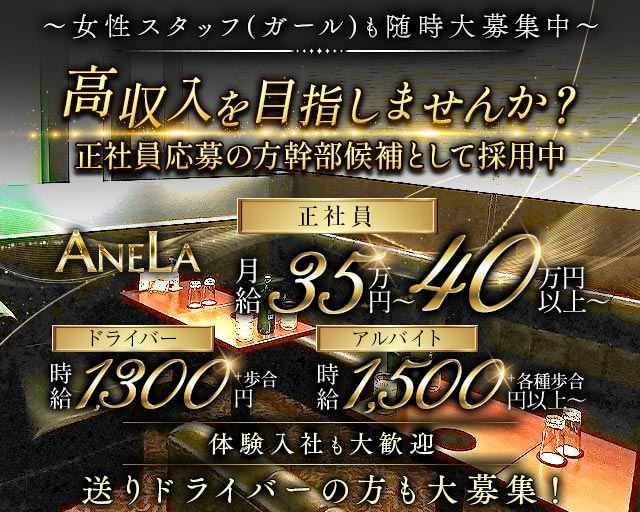 ANELA（アネラ） バナー